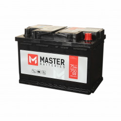 Master Batteries - 75 (о.п.)