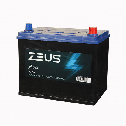 ZEUS Asia - 75 (о.п.) ниж.креп.