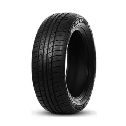 DOUBLECOIN DS-66 HP 245/55/R19 103V