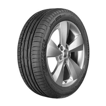 Шина IKON 255/65 R17 Летние Шина IKON 255/65 R17 Летние
