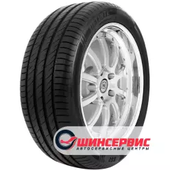 Delinte DS-2 SUV 215/70/R16 100H